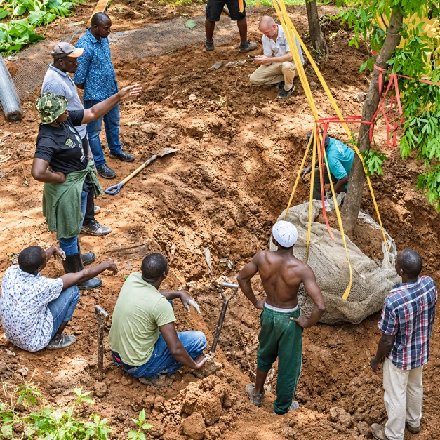 Tree Transplanting Project – Sustainability Initiative | Tamale - Ghana