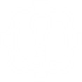 bulb-picture